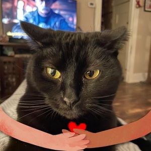 Meet your Posher, Roberta